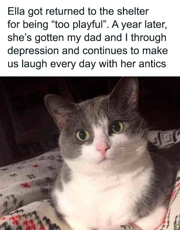 50 Wholesome Pics To Heal Your Soul