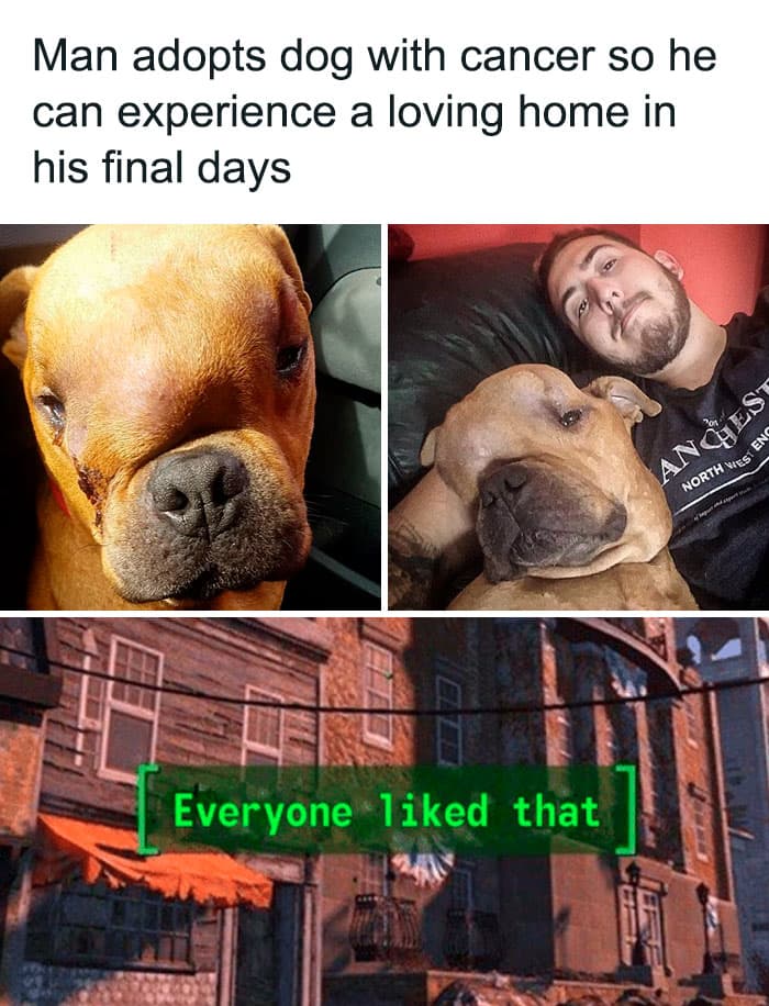 50 Wholesome Pics To Heal Your Soul