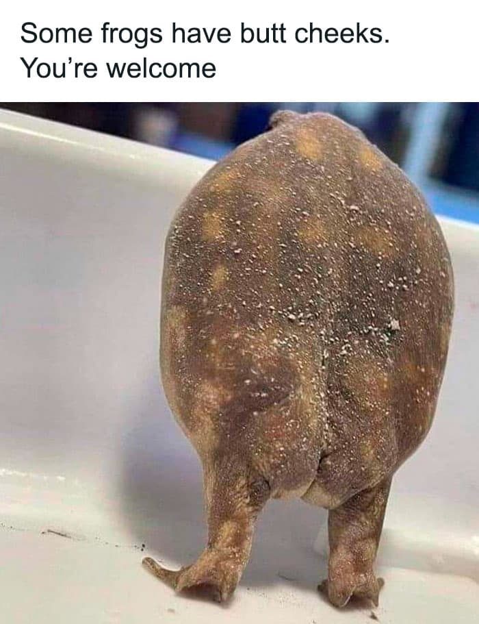 50 Wholesome Pics To Heal Your Soul