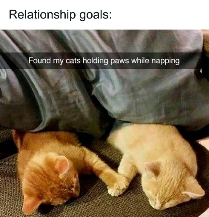 50 Wholesome Pics To Heal Your Soul