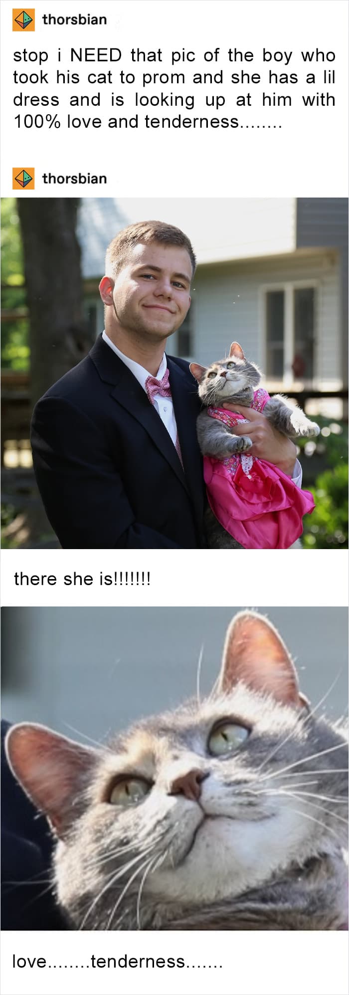 50 Wholesome Pics To Heal Your Soul