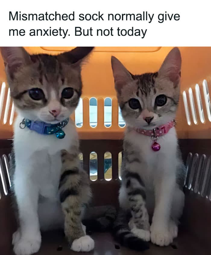 50 Wholesome Pics To Heal Your Soul