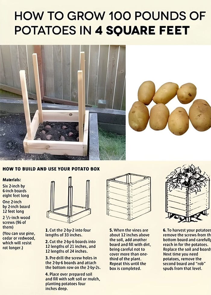 30 Extremely Helpful Tips And Facts About Food That You Probably Didn't Know