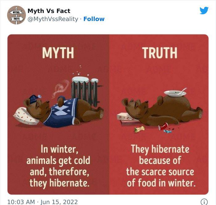 30 Incredibly Interesting Fact Vs Myths You Probably Didn'T Know