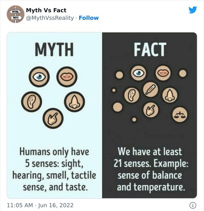 30 Incredibly Interesting Fact Vs Myths You Probably Didn'T Know