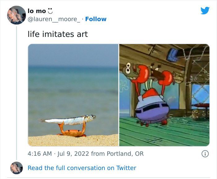 30 Extremely Wholesome Animal Memes That Are So Cute !