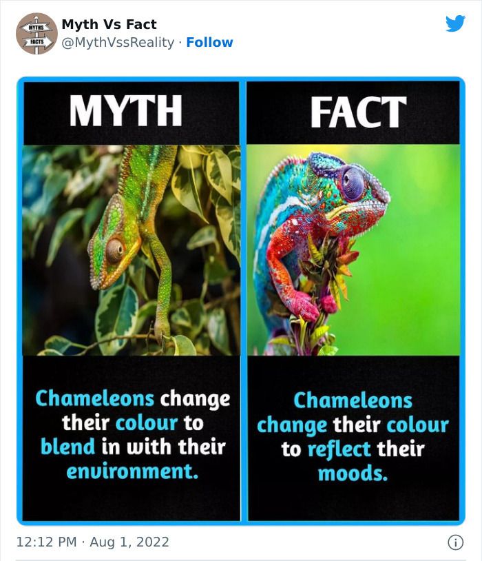 30 Incredibly Interesting Fact Vs Myths You Probably Didn'T Know