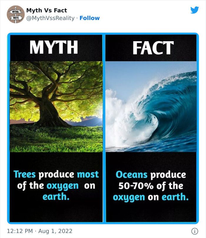 30 Incredibly Interesting Fact Vs Myths You Probably Didn'T Know