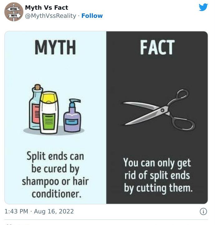 30 Incredibly Interesting Fact Vs Myths You Probably Didn'T Know