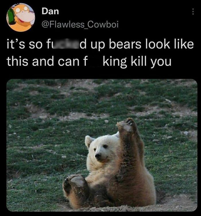 30 Extremely Wholesome Animal Memes That Are So Cute !
