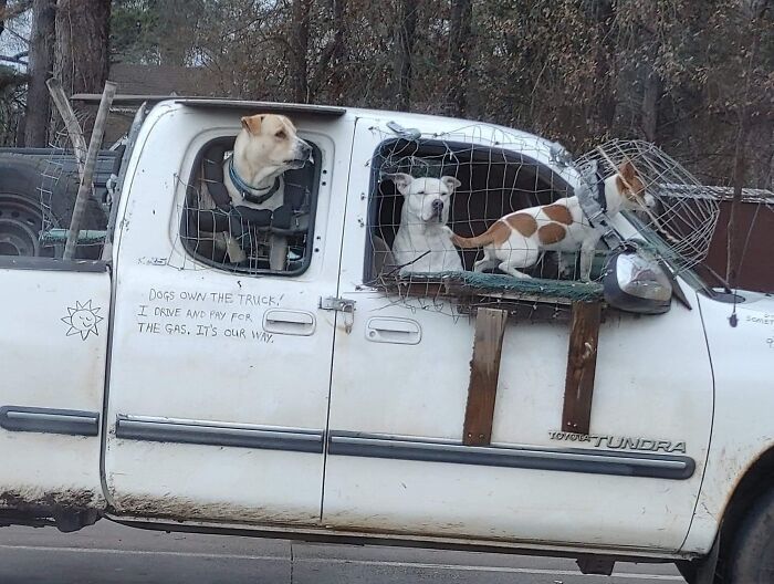 50 Times People Thought Of Stupid Solutions That Actually Worked
