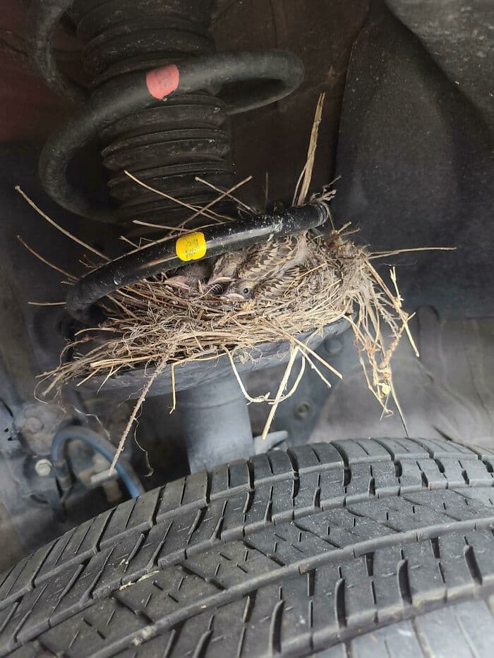 30 Hilarious Pics That Show The Level Of Nonsense Mechanics Have To Deal With