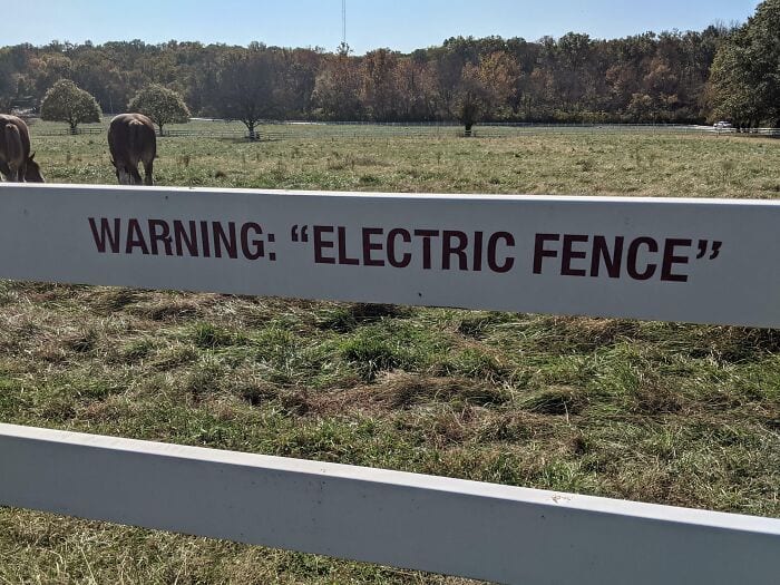 30 Hilarious Times Quotation Marks Were Used Incorrectly And Gave Hilarious Results