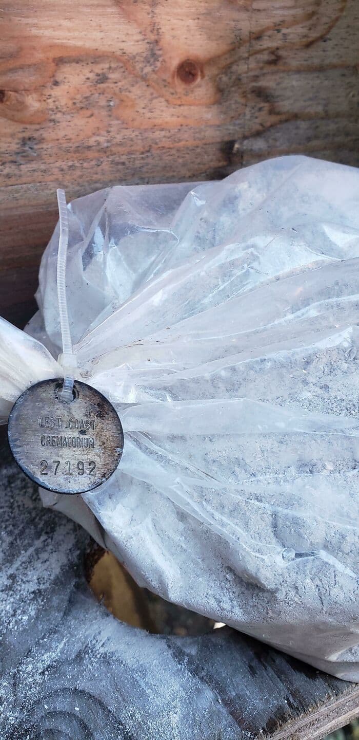 30 Hidden Treasures People Stumbled Upon Unexpectedly