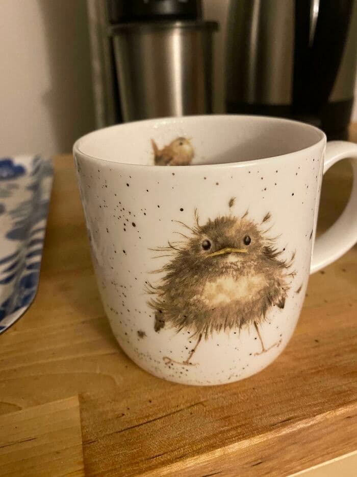 30 Extremely Cute Pictures Of Some Of The Coolest Mugs 