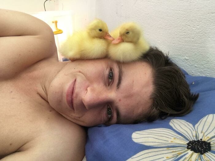 30 Heart Warming Pics That Show Why Ducks Are The Cutest