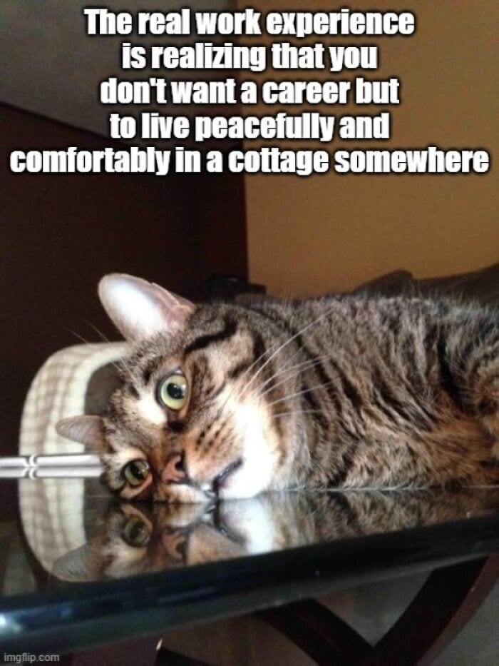  30 Painfully Hilarious Memes To Sum Up Adulthood