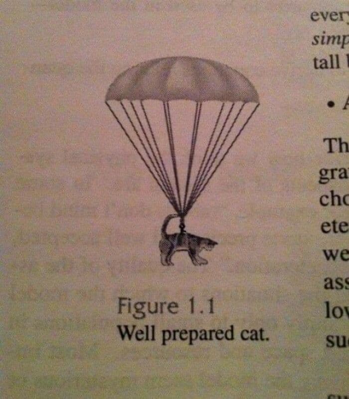 30 Nonsense Pics Of Cats That Weirdly Make Sense