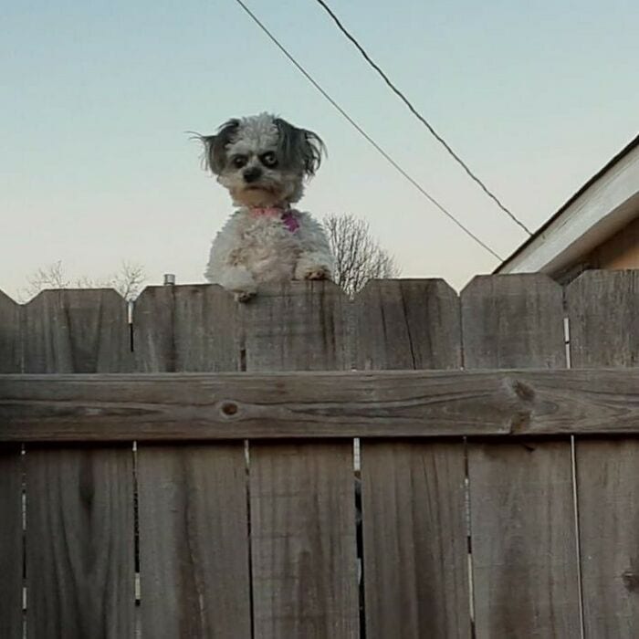 30 Of The Weirdest Images Found On Instagram 