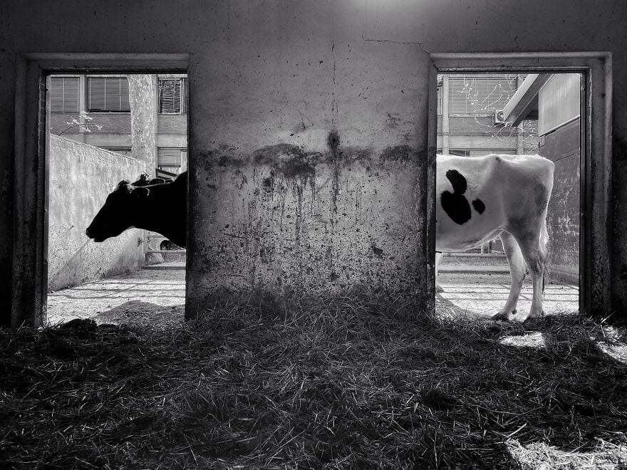 30 Unbelievable Images That Were Taken On An Iphone