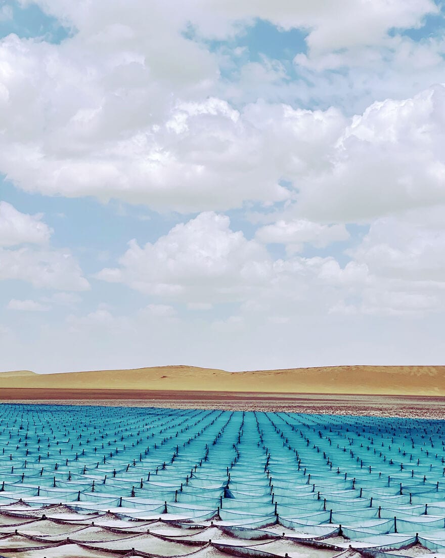 30 Unbelievable Images That Were Taken On An Iphone