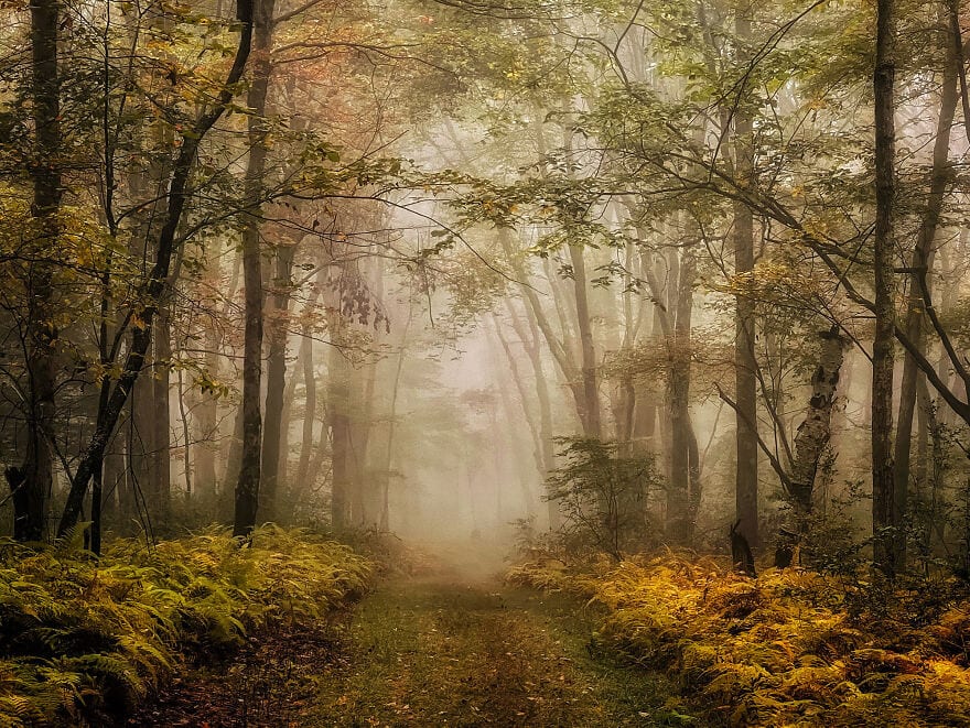 30 Unbelievable Images That Were Taken On An Iphone