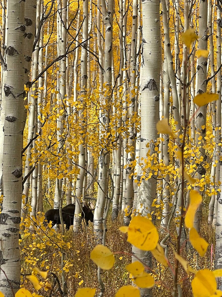 30 Unbelievable Images That Were Taken On An Iphone