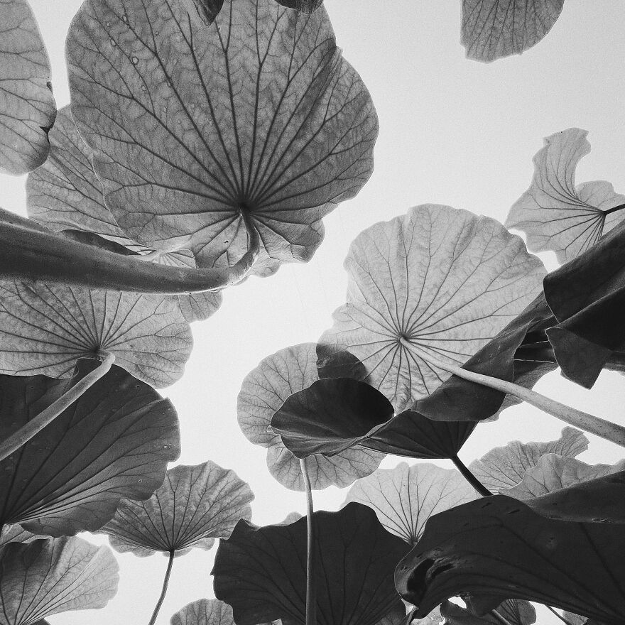 30 Unbelievable Images That Were Taken On An Iphone