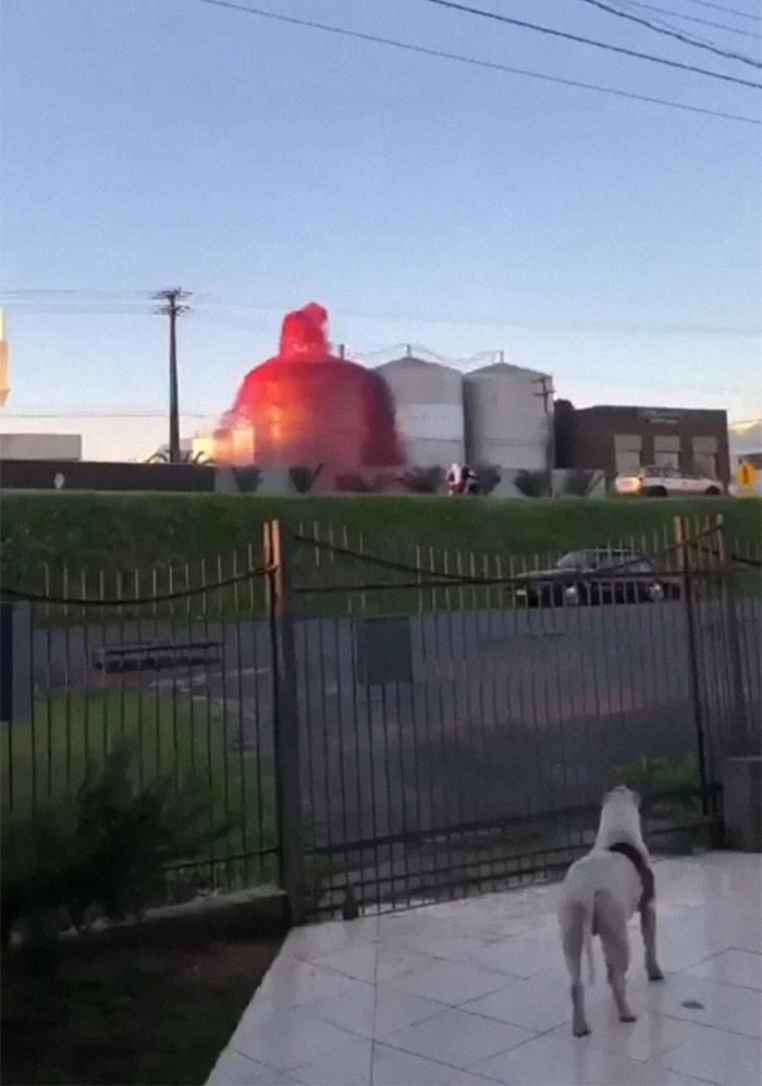 30 Epic Fails And Accidents That Costed Fortunes