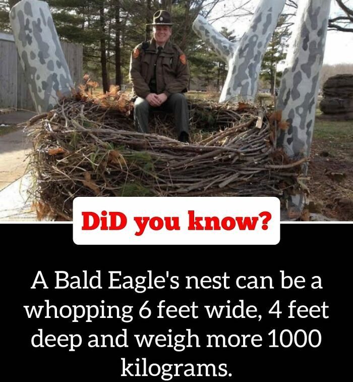 30 Epic Facts You Probably Didn'T Know !