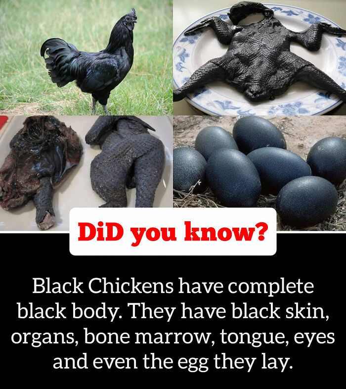 30 Epic Facts You Probably Didn'T Know !