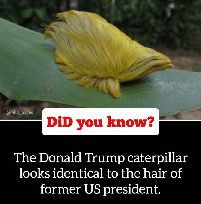 30 Epic Facts You Probably Didn'T Know !