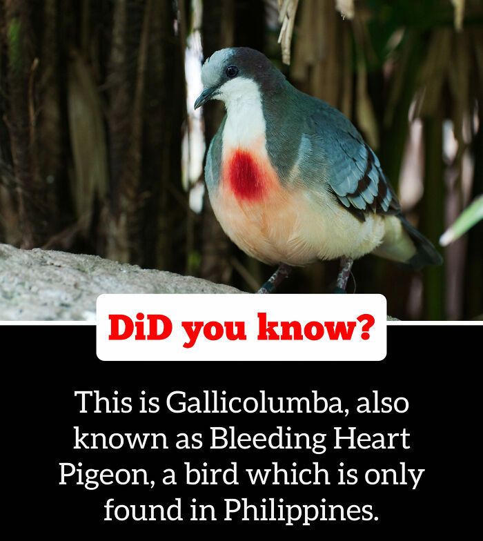 30 Epic Facts You Probably Didn'T Know !