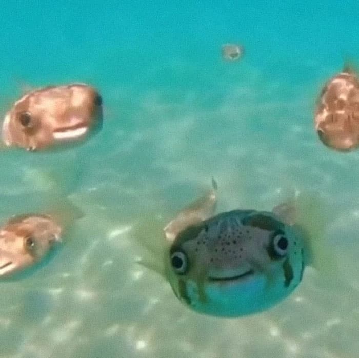 30 Extremely Terrifying Images From The Deep Sea