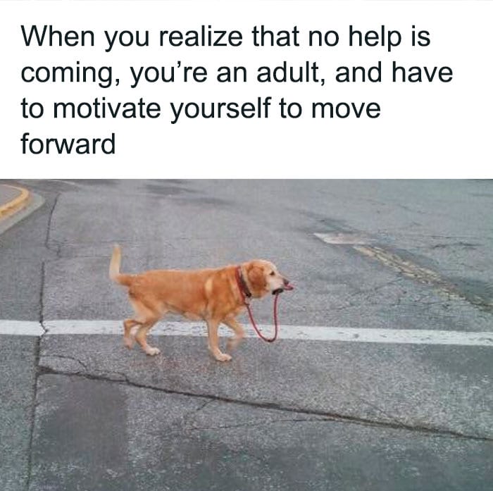  30 Painfully Hilarious Memes To Sum Up Adulthood