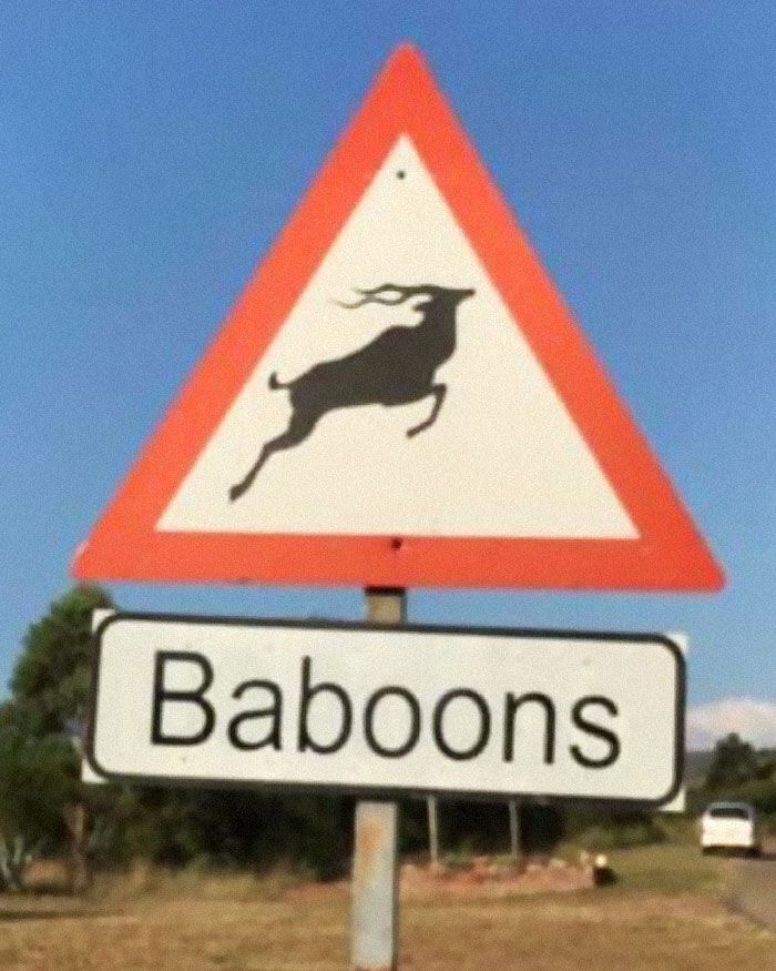 30 Epic ‘You Had One Job’ Moments