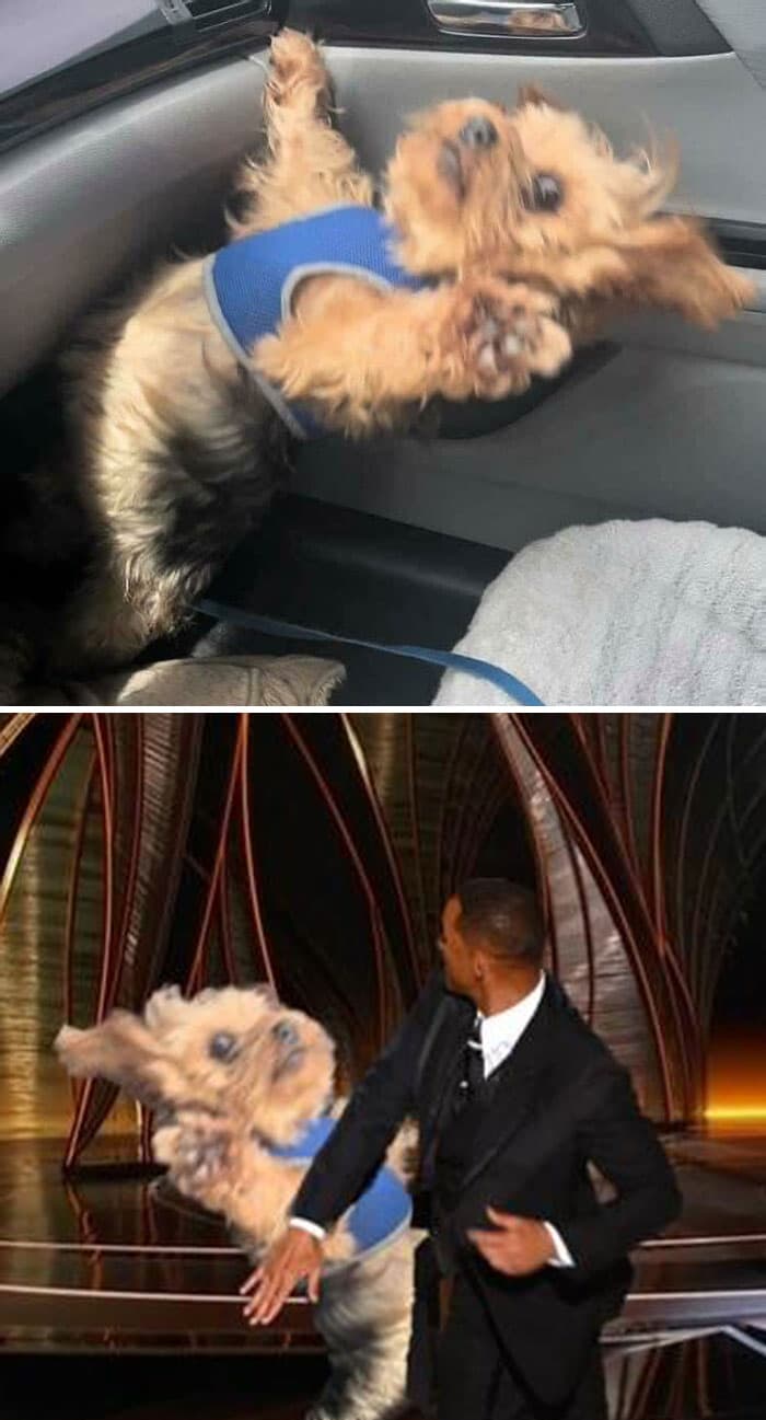 30 Perfectly Planned Photoshopped Images That Are Extremely Hilarious 