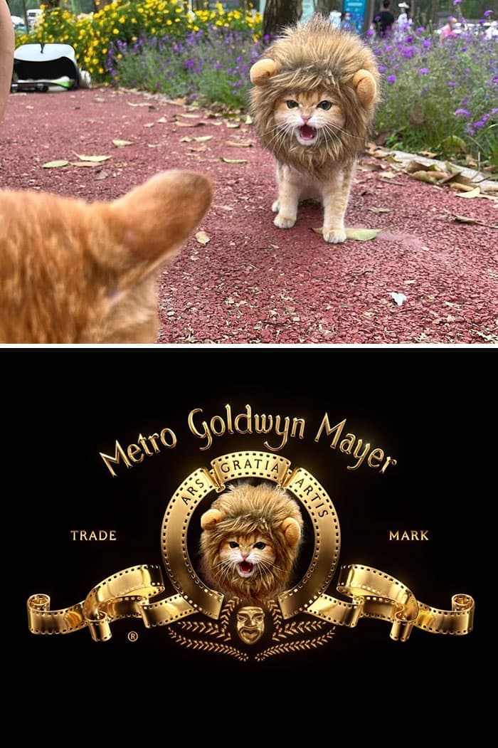 30 Perfectly Planned Photoshopped Images That Are Extremely Hilarious 