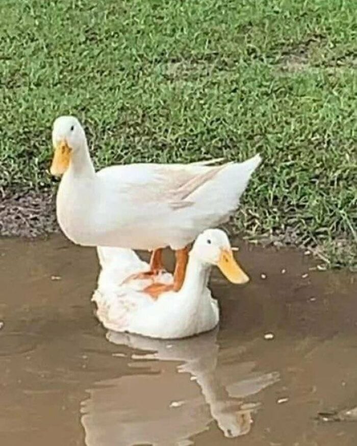 30 Funny Pictures With No Context That Get Weirder The More You Look