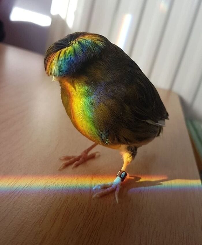 30 Funny Pictures With No Context That Get Weirder The More You Look