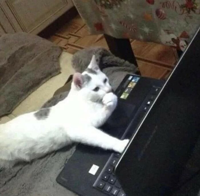 30 Funny Pictures With No Context That Get Weirder The More You Look
