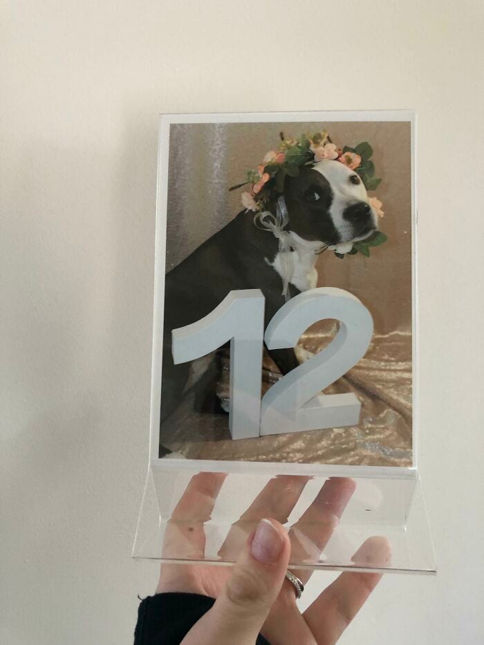 30 Wholesome Times People Diy'ed Their Weddings 