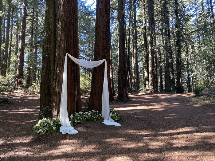 30 Wholesome Times People Diy'ed Their Weddings 