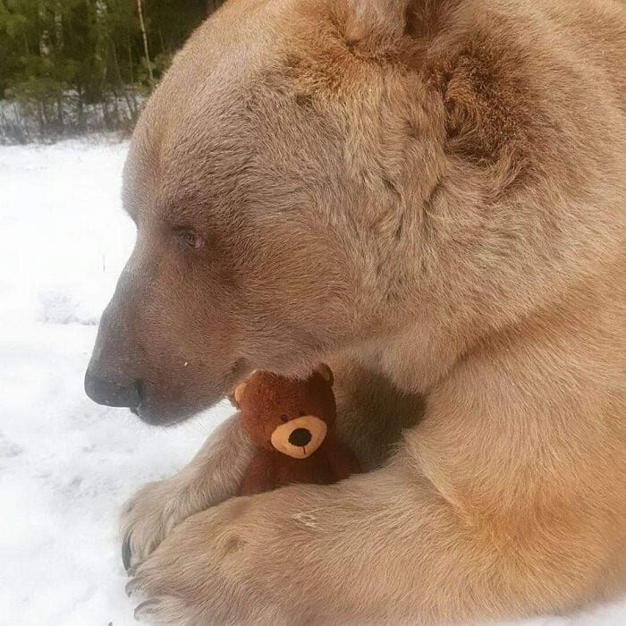 30 Funny Pictures With No Context That Get Weirder The More You Look