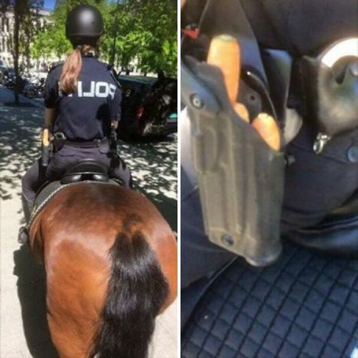30 Funny Pictures With No Context That Get Weirder The More You Look