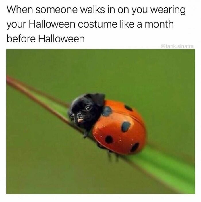 Boo9W4Zhjli Png 700