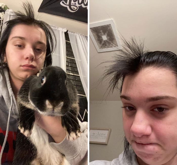 30 Shocking Times Bunnies Were More Terrifying Than Cute 