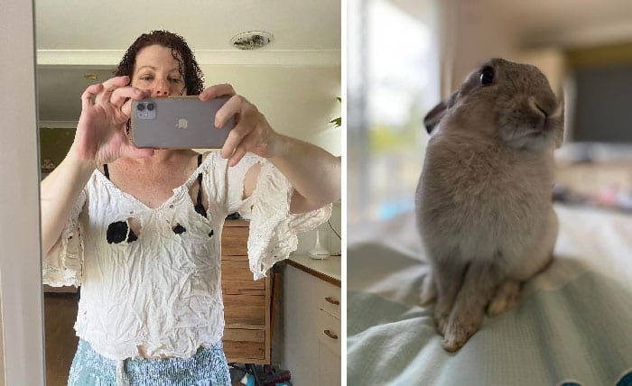 Bunnies Jerks Pics 46 6344074E4256E 700