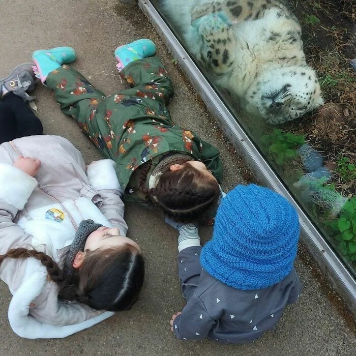 30 Epic Animal Images That Just Don’t Make Any Sense