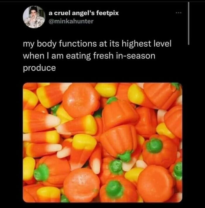 30 Hysterical Festive Memes To Laugh At 